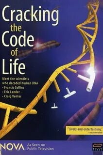 Human coding
