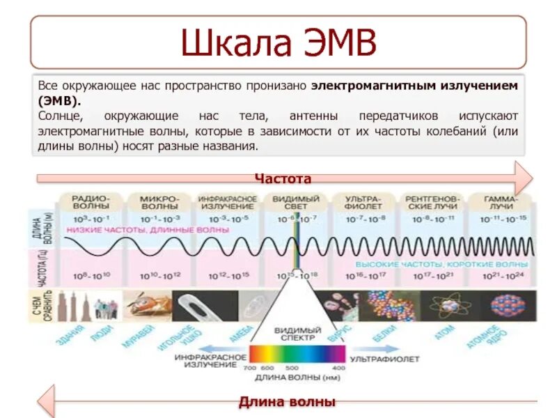 Шкала ЭМВ. Шкала электромагнитных волн. Шкала электромагнитных волн презентация. Электромагнитные волны фен. Электромагнитные волны тест 2 варианта