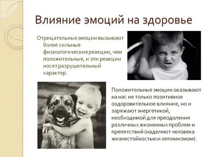 Любовь в организме человека