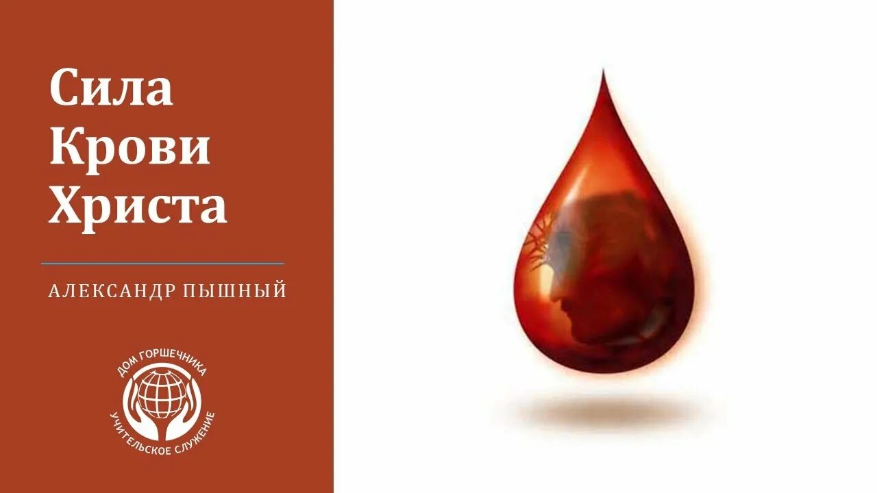 Ионная сила плазмы крови. Кровоточащая сила. Цветок кровь иисуса. Кровоточащая сила. Сила крови.