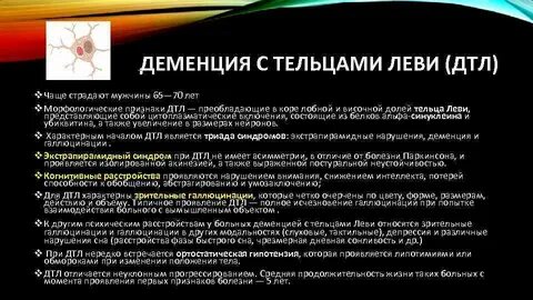 Деменция у кошек признаки