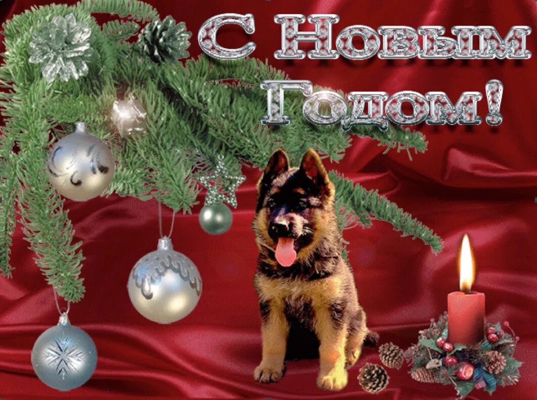 С уходящим годом собаки. Новогодние открытки с собаками. поздравление собаки с новым годом. с наступающим новым годом собака. с наступающим новым годом поздравляют собаки.