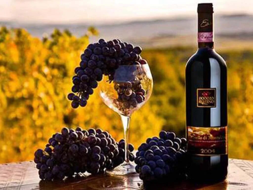 Итальянское вино. Вино Тоскана Италия. Винодельня Монтальчино. Брунелло сорт винограда. Красное вино Рим Тоскана.
