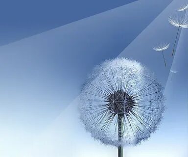 Экран samsung s3