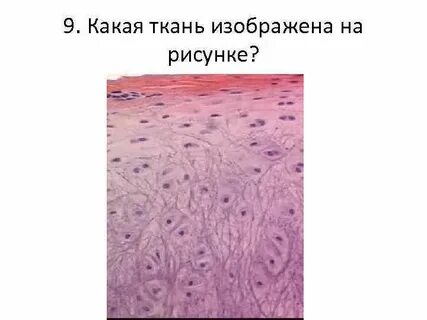 На рисунке изображена ткань