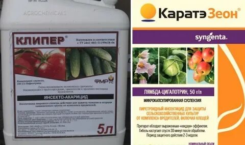 Цигалотрин