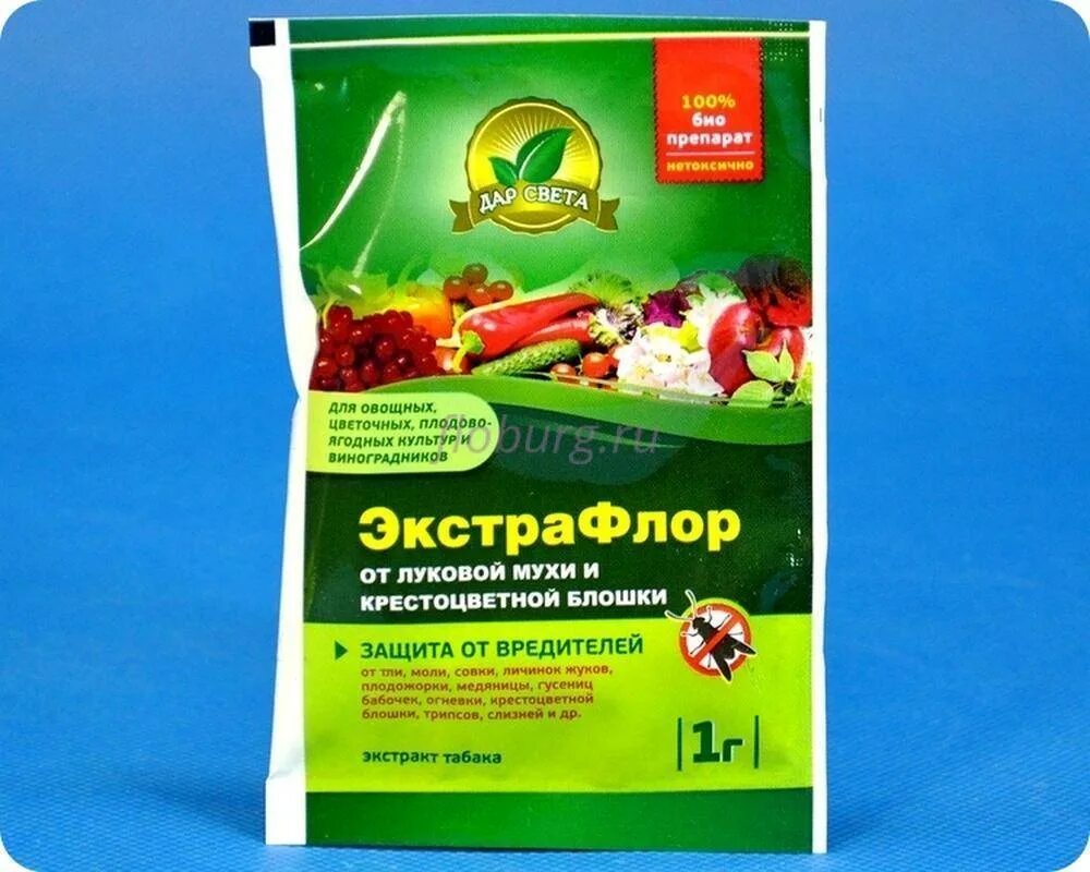 Средство от луковой мухи на грядке. Нашатырный спирт для лука и чеснока от вредителей. От вредителей для лука. Чем обработать от луковой мухи. Обработка лука от луковой мухи препараты.
