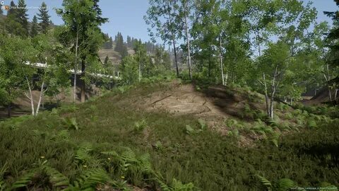 Forest pack 2023 max