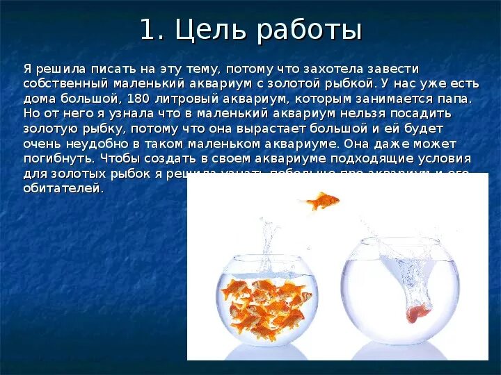 Аквариум и его обитатели проект 2 класс Презентация на тему: "Исследовательский проект 2 б класса Аквариум и его обитате