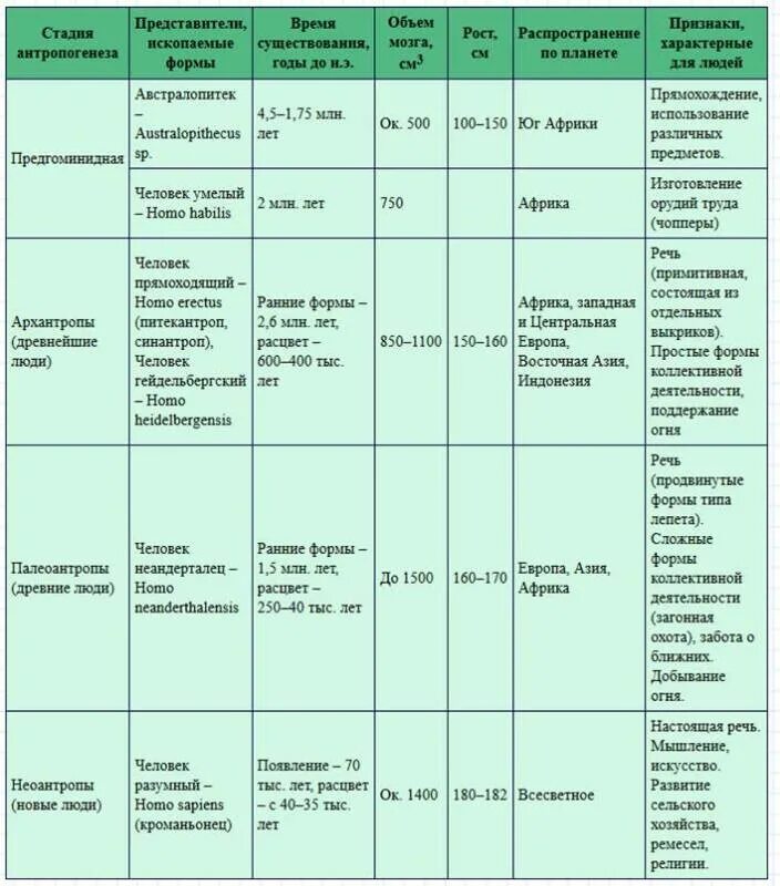 Изменение таза в ходе эволюции