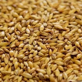Malting перевод