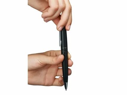 Pilot animal collection