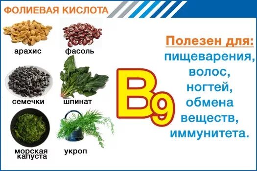 Фолиевая кислота и витамин в9 продукты. Витамин б9 фолиевая кислота продукты. Витамин в9 фолиевая кислота где содержится. В каких продуктах содержится витамин в9 фолиевая кислота.