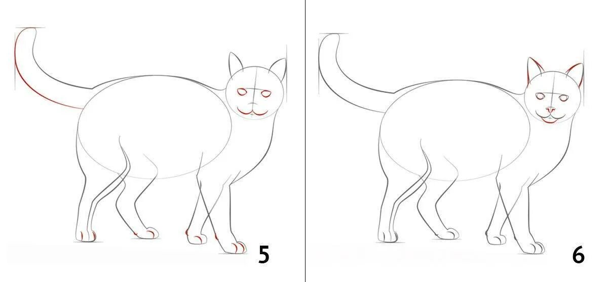 Как нарисовать катнапа. Поэтапное рисование кошки. Кот рисунок. Поэтапный рисунок кошки. Кошка рисунок карандашом.