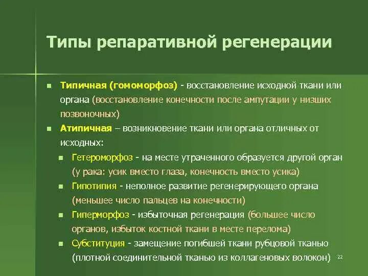 Виды репаративной регенерации. Атипичная регенерация. Типы репаративной регенерации способы её осуществления. Репаративная регенерация типичная и атипичная регенерация.