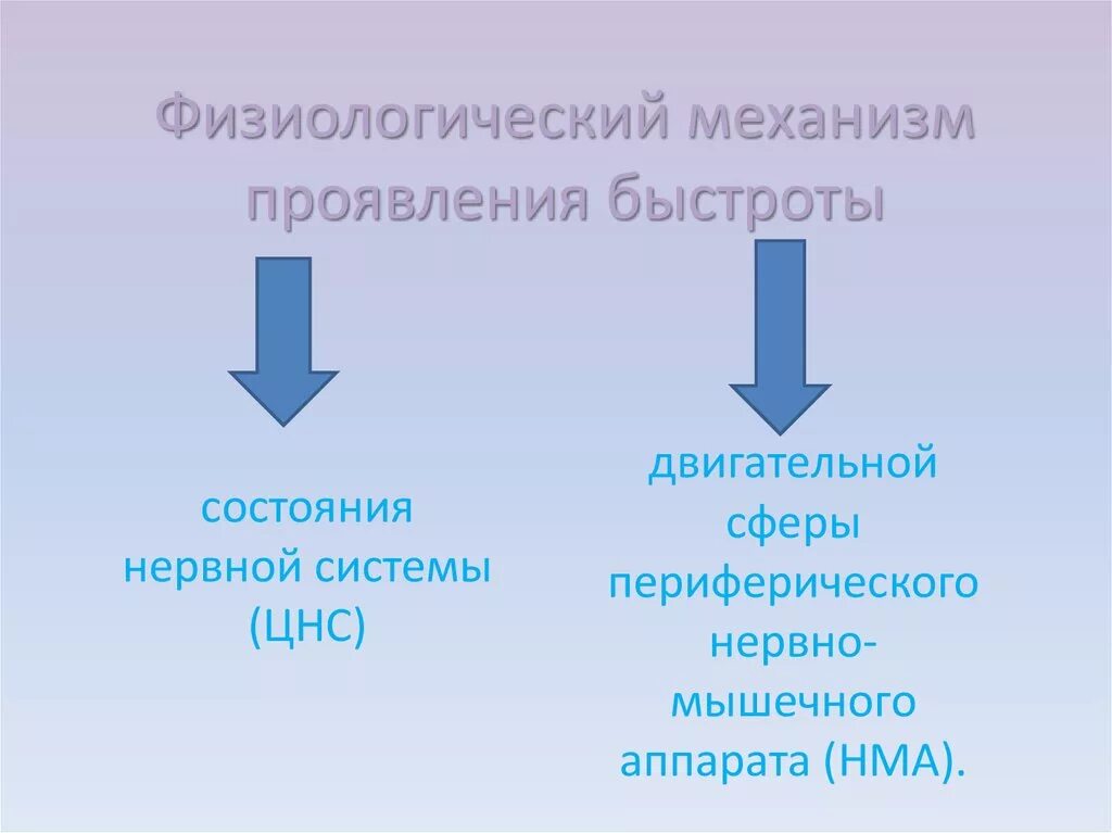 Физиологические характеристики силы. Физиологические механизмы развития быстроты. физиологическая характеристика быстроты. физиологические механизмы развития двигательных качеств- быстроты. физиологически механизмы проявления быстроты.