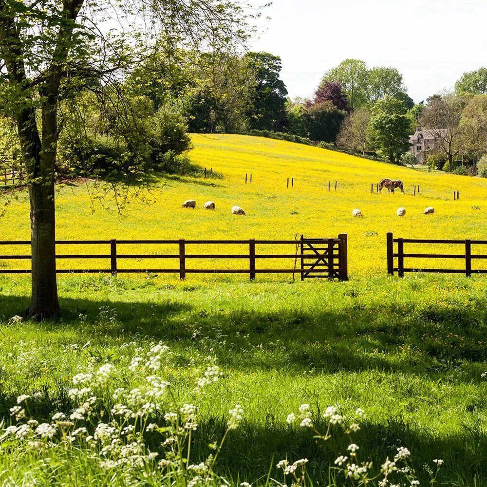 I live in the countryside. In the countryside. Countryside фото. Spring in the countryside. Countryside Summer.