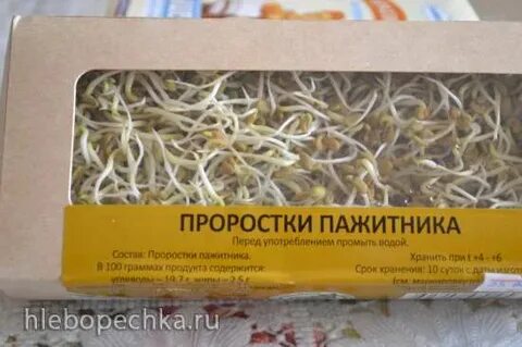 Проростки пажитника
