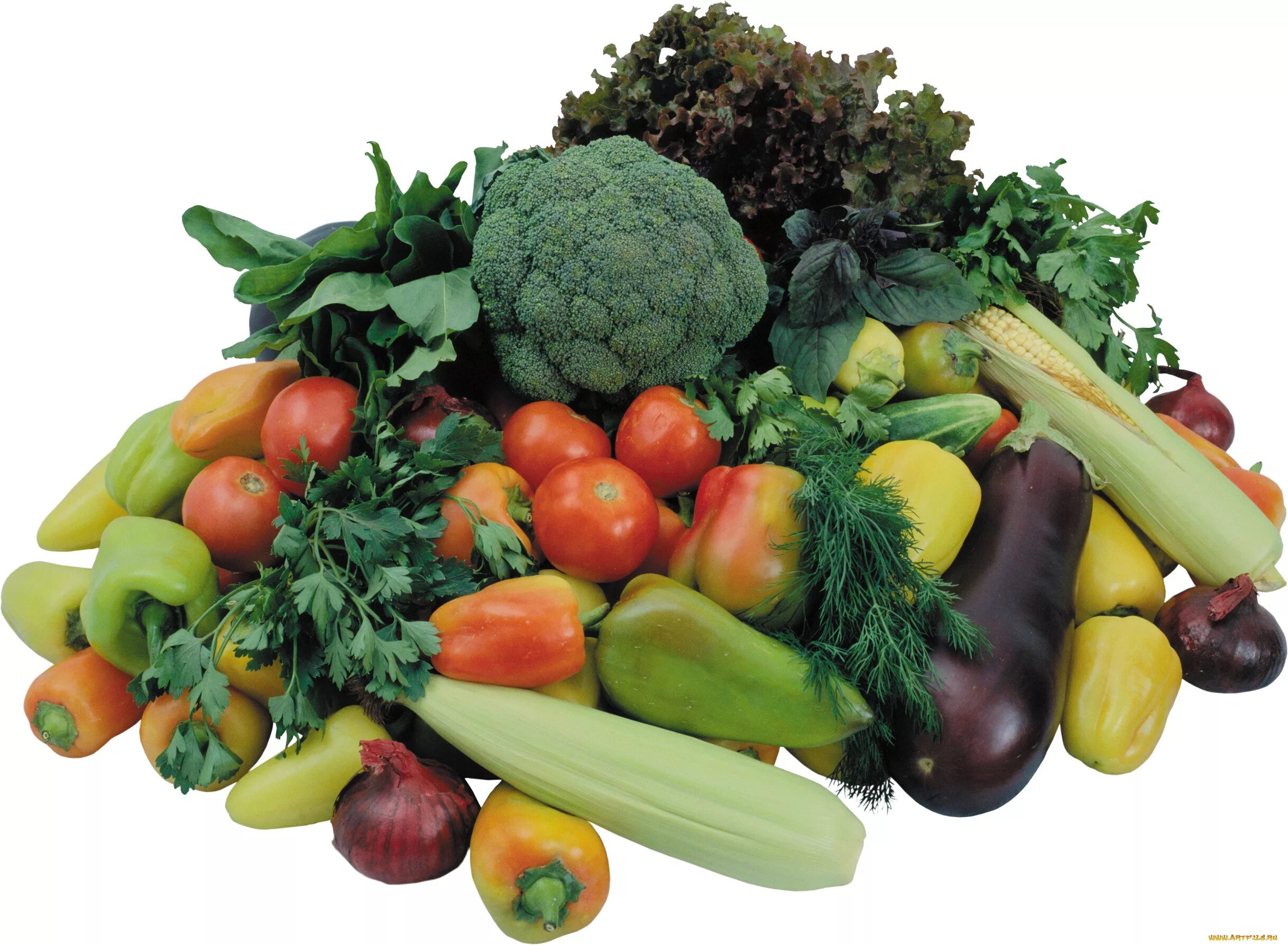 Фрукты овощи на ц. Овощи и фрукты. Плодовые овощи. Овощи картинки. Овощи и фрукты на прозрачном фоне.