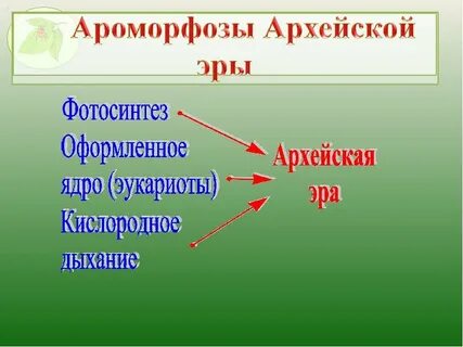 Архейская эра крупные ароморфозы
