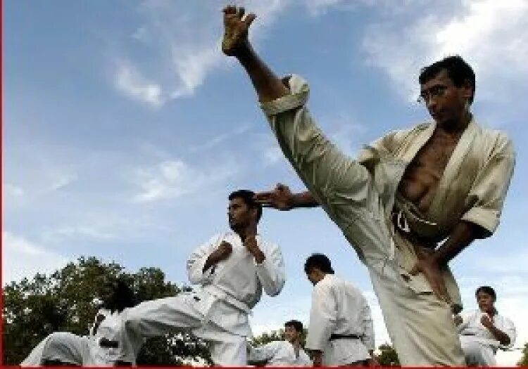 Армен мовсесян карате. Уширо маваши. Проект каратэ. Кумитэ айкидо. Кёкусин кан каратэ.