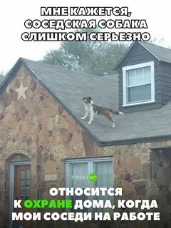 Будешь охранять дом