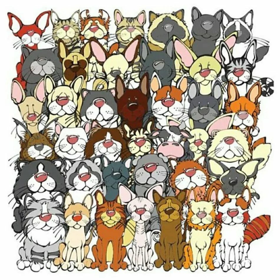 Найдите на картинке. Задание найти кошку. Задания с котиками. Найди котика. Найди котика на картинке.