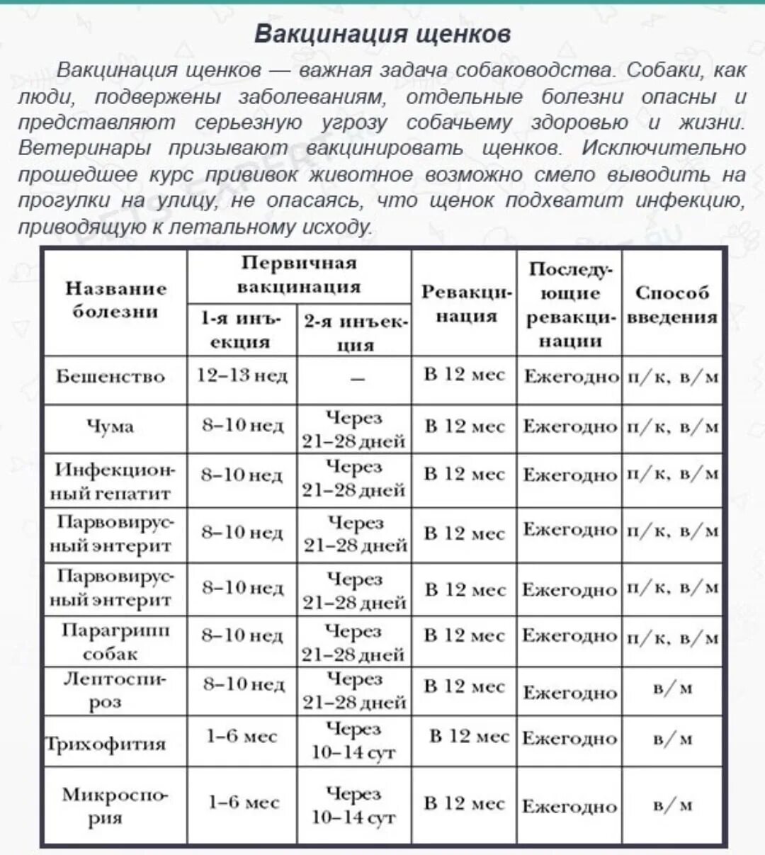 Таблица обязательных прививок для собак по возрасту. Прививки у собак график прививок по возрасту таблица. Схема прививок для щенков до года. Прививки собак по возрасту таблица график. Через сколько можно гулять после 2 прививки