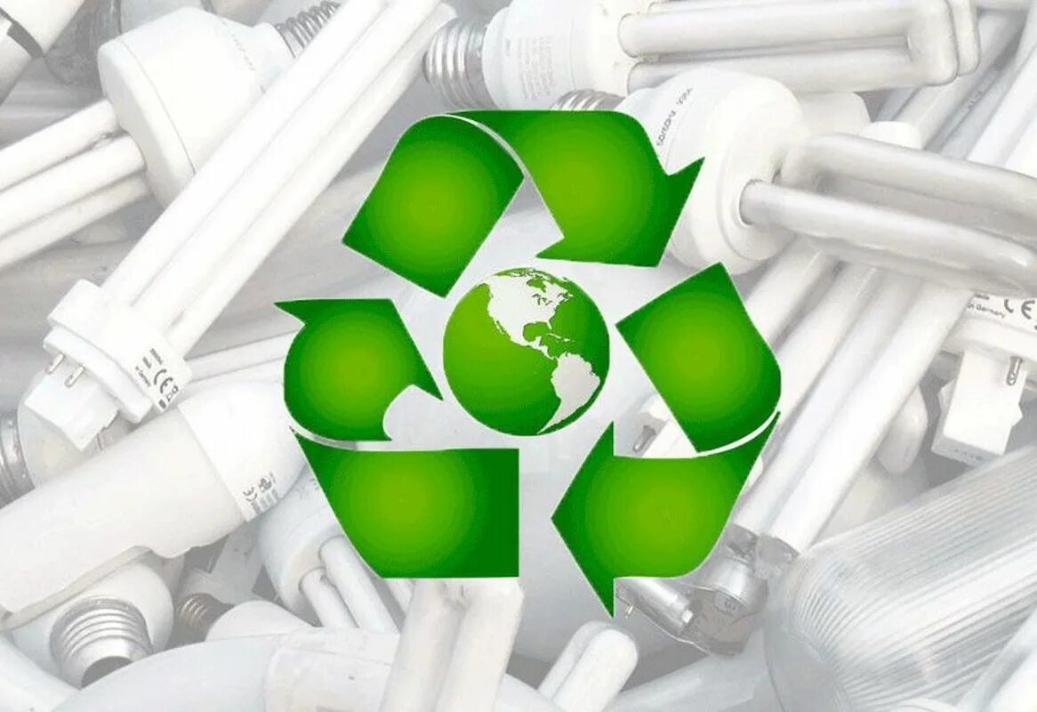 Переработка лампочек. Утилизация люминесцентных ламп. Ртутная лампа 3000лм. Отработанные ртутьсодержащие люминесцентные лампы. Много лампочек.