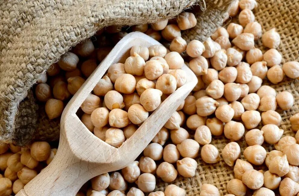 Нут бобовые. Нут Chickpeas. Нут (турецкий горох). Нут (турецкий горох) растение. Наука горох