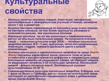 Характеристика палочек