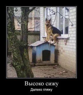 Ну что сидишь ну сиди сиди