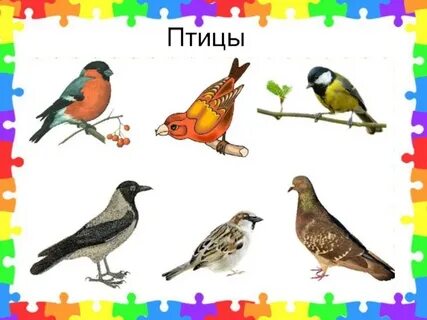 Слова птица 4