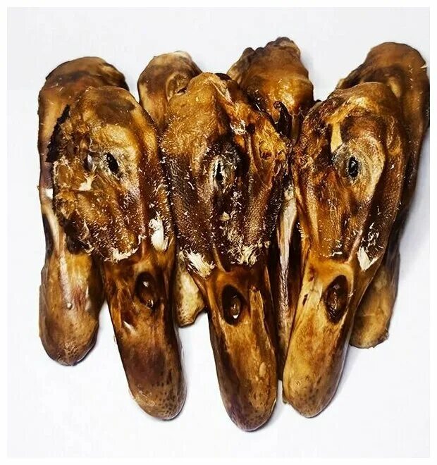 Утиные головы. Утиные головы. Утиные головы. Утиный клюв. Клюв утки кряквы.