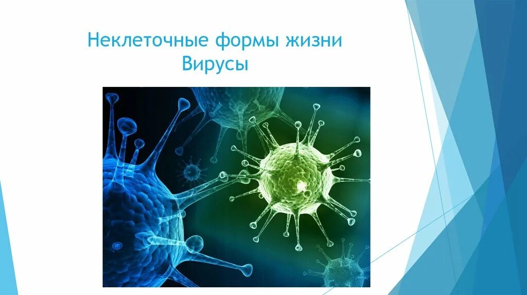 Неклеточныемформы жизни. Неклеточные формы жизни. Вирусы неклеточные формы. Вирусы внеклеточная форма жизни.