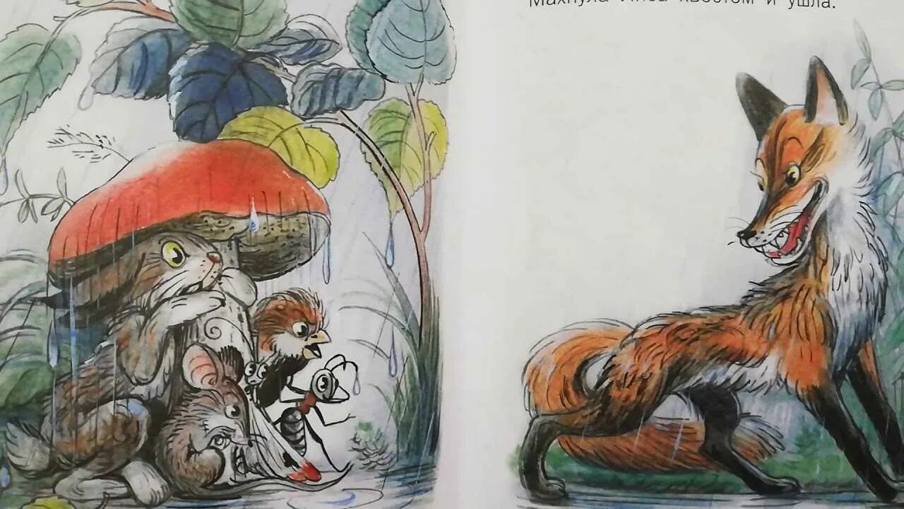 Сутеев в г сказка под грибом. Сказка сутеева под грибом. в. сутеев под грибом. книжка сутеева под грибом.