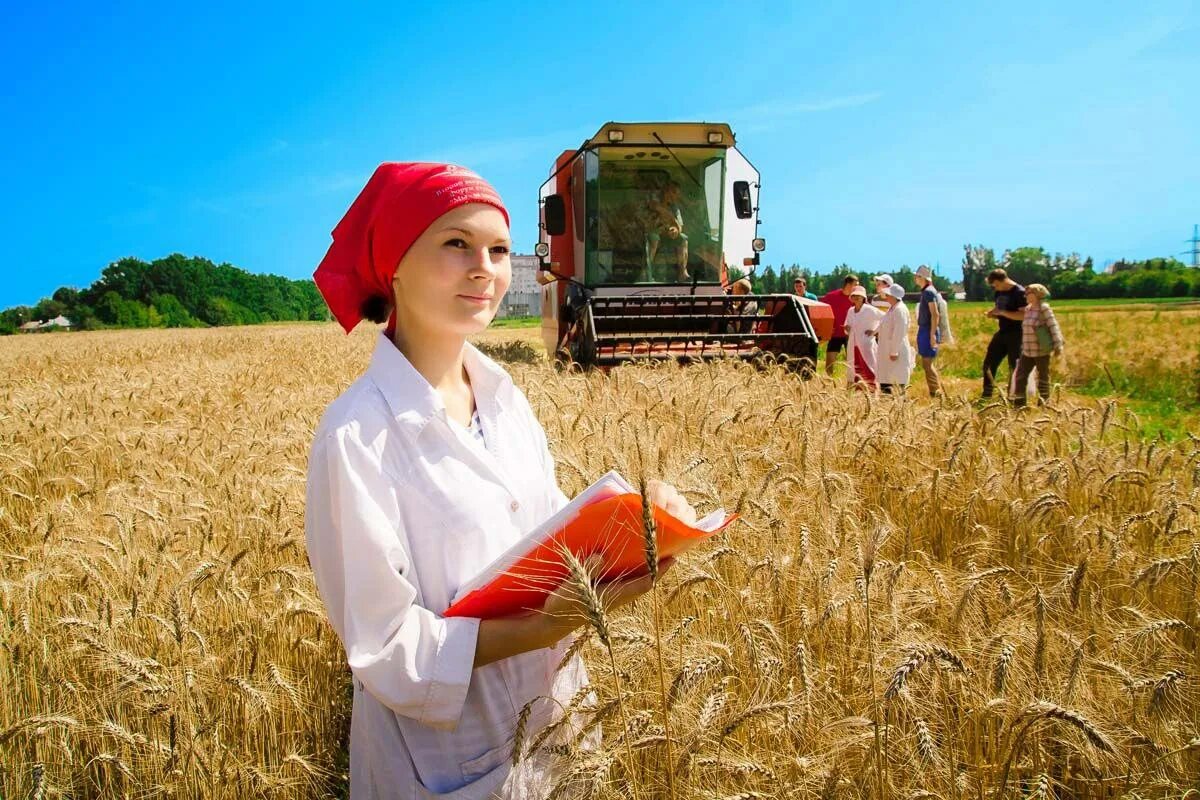 Сельское хозяйство северной кореи. Деревенские девушки в поле. Работа в поле. Дней работают в поле. Дней работают в поле.