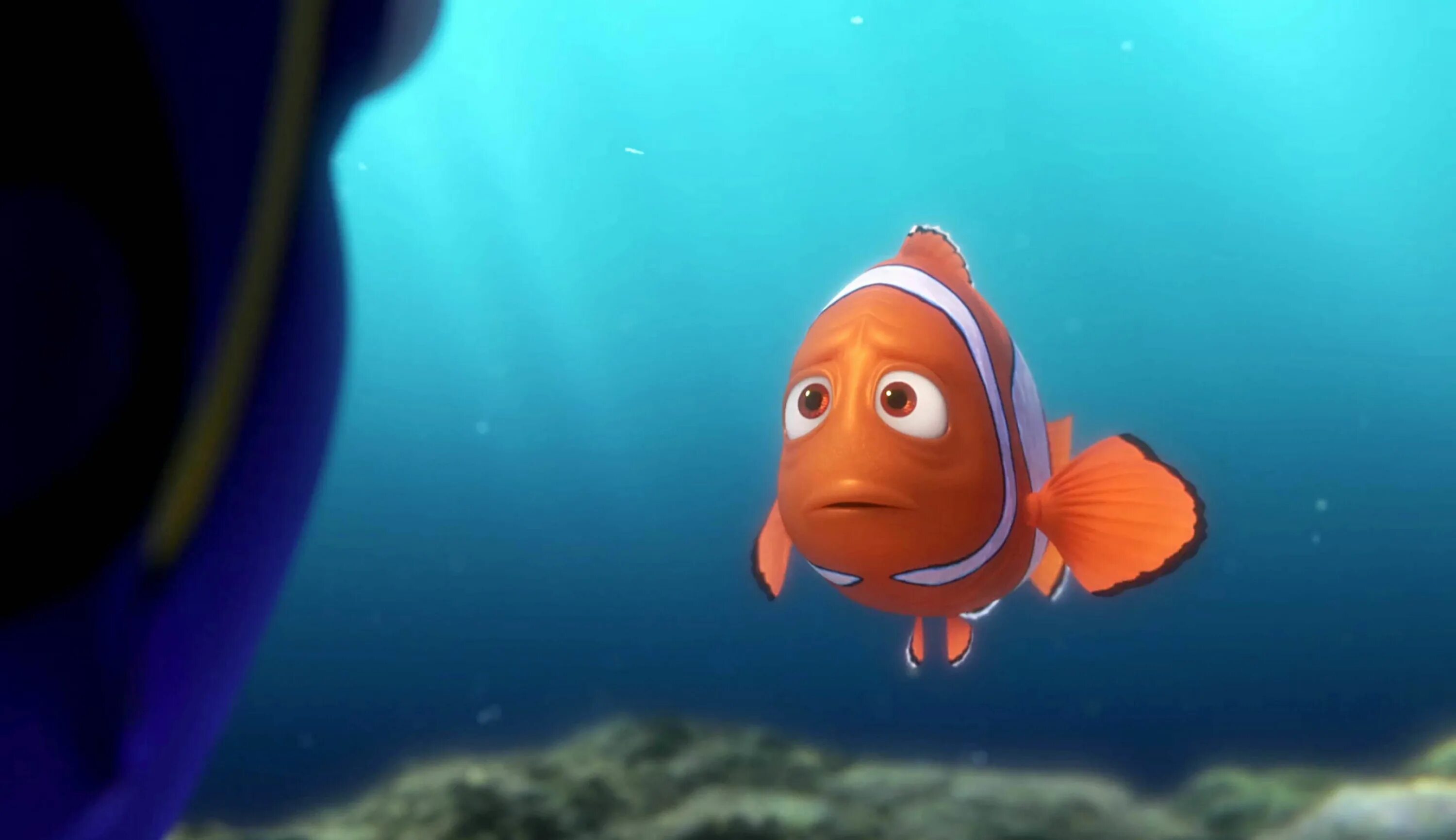 Как петь как немо. Рыбка дори. finding dory 2016. марлин немо и дори.