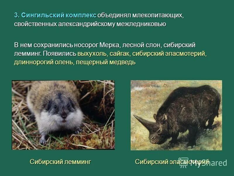 Прямое развитие свойственно. Млекопитающие раздельнополые. Развитие характерное для млекопитающих. Характеристика млекопитающих. Тест 12.