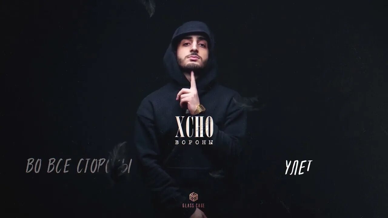 Ворон эстетика. Песня крылья ворон. Песня крылья ворон. Чёрный ворон текст песни. Черные крылья ворона.