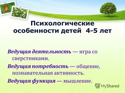 Индивидуальные особенности детей 4 5 лет