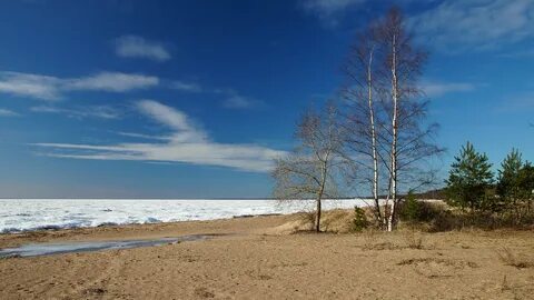 Погода в районе комарово