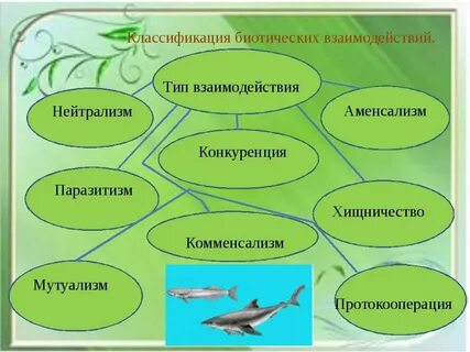 Какие биотические отношения сложились