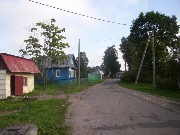 Погода в кневицах новгородская область. Кневицы Новгородская область. Поселок Кневицы Демянский район. Поселок Кневицы Новгородская область. Посёлок Кневицы Демянского района Новгородской области.