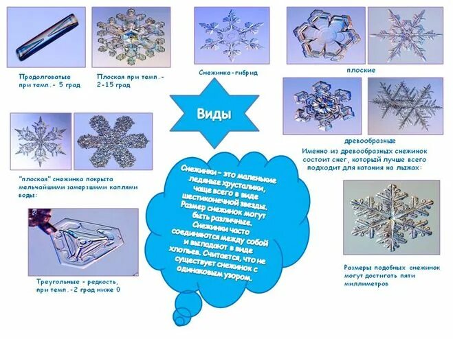 Какую форму имеет снежинка. Снежинка геометрия. Снежинки разной формы. Почему у снежинки 6. Снежинка 6 лучей.