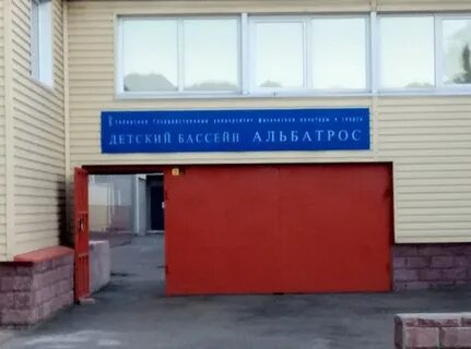 Бассейн альбатрос омск