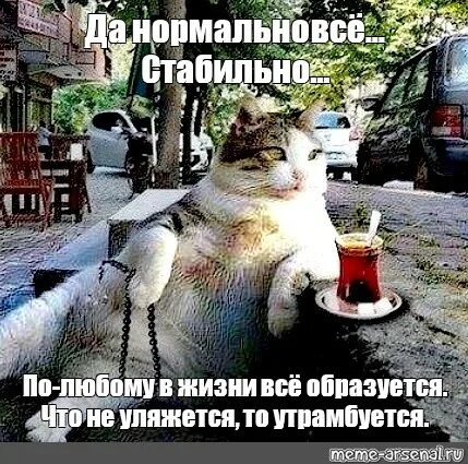 Может быть все образуется. По любому в жизни все образуется что не уляжется то утрамбуется. да нормально все стабильно. по любому в жизни все образуется. картинка по любому в жизни что не уляжется то утрамбуется.