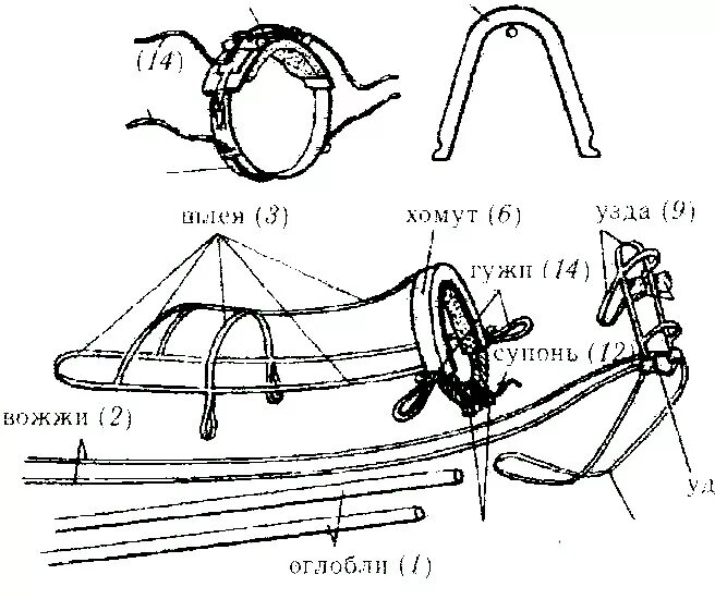 Как делать гужу. Конская упряжь хомут упряжь. Элементы упряжи лошади в телегу. Дуга хомут упряжь. Лошадь с оглоблями и хомутом.