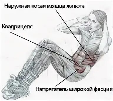 Скручивания на пресс мышцы. Упражнения на косые мышцы пресса. Подъем туловища на наклонной скамье. Упражнения на косые мышцы живота. Схема упражнений на пресс для женщин.