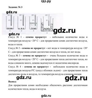 Биология 6 класс страница 29 лабораторная работа